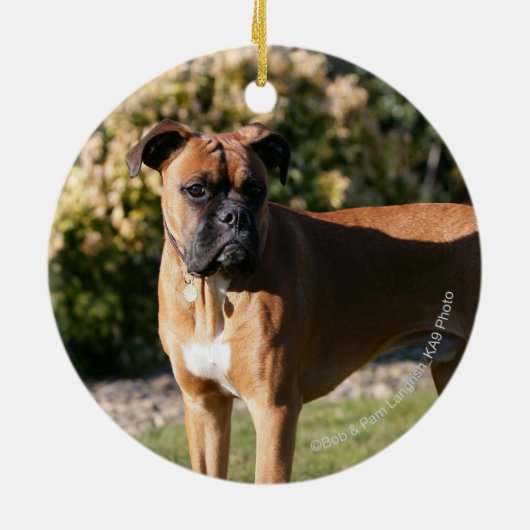 Fawn Boxer Dog Standing Keramisch Ornament (Achterkant)