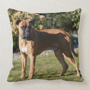 Fawn Boxer Dog Standing Kussen