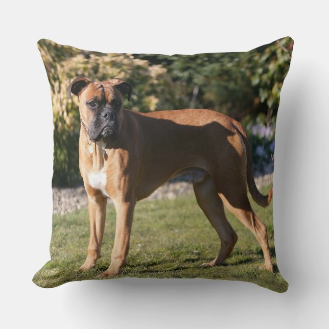 Fawn Boxer Dog Standing Kussen (Voorkant)