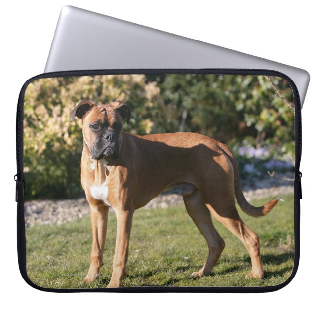 Fawn Boxer Dog Standing Laptop Sleeve (Voorkant)