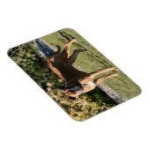 Fawn Boxer Dog Standing Magneet (Rechterzijde)