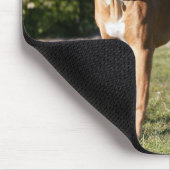 Fawn Boxer Dog Standing Muismat (Hoek)