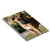 Fawn Boxer Dog Standing Notitieboek (Rechterzijde)
