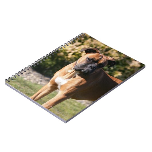 Fawn Boxer Dog Standing Notitieboek (Linkerzijde)