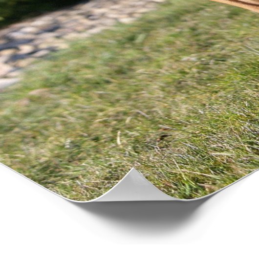 Fawn Boxer Dog Standing Poster (Hoek)