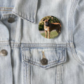 Fawn Boxer Dog Standing Ronde Button 5,7 Cm (In situ)