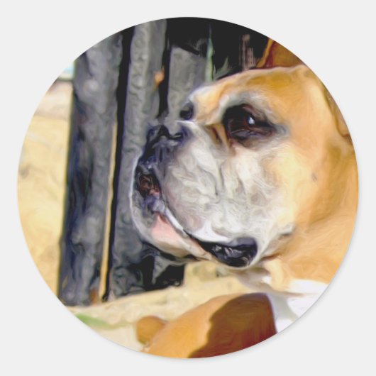 Fawn Boxer Dog stickers (Voorkant)