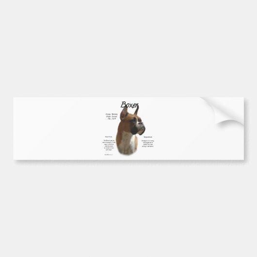 Fawn Boxer Geschiedenis Bumpersticker (Voorkant)