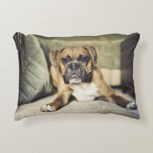 Fawn Boxer Pup Accent Kussen