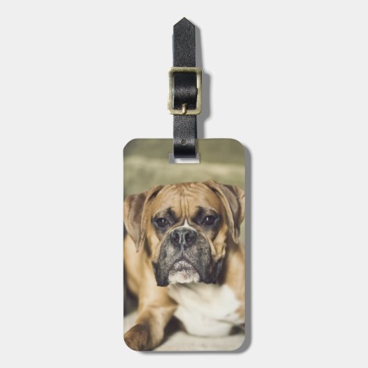 Fawn Boxer Pup Bagagelabel (Voorkant verticaal)