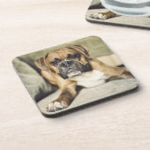 Fawn Boxer Pup Bier Onderzetter (Linkerzijde)