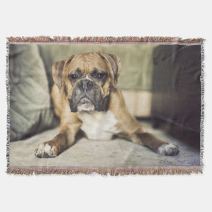 Fawn Boxer Pup Deken