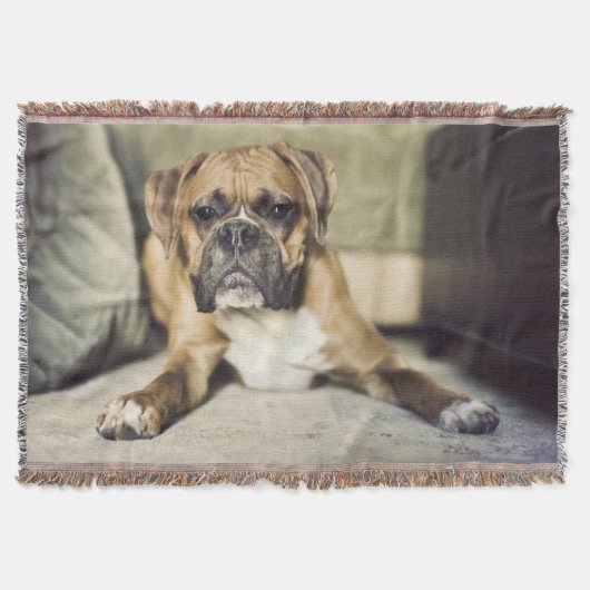 Fawn Boxer Pup Deken (Voorkant)