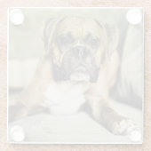 Fawn Boxer Pup Glazen Onderzetter (Achterkant)