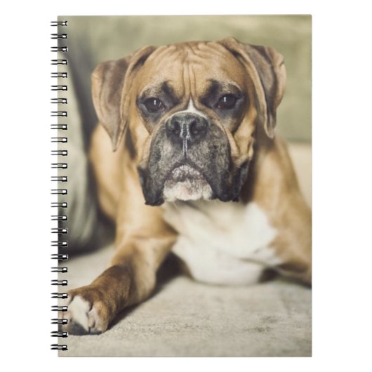 Fawn Boxer Pup Notitieboek (Voorkant)