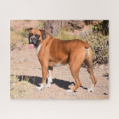 Fawn Boxer Puppy Dog Legpuzzel (Horizontaal)