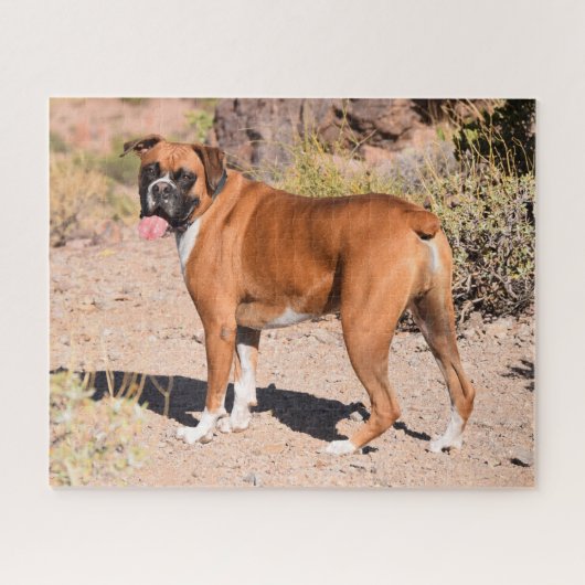Fawn Boxer Puppy Dog Legpuzzel (Horizontaal)