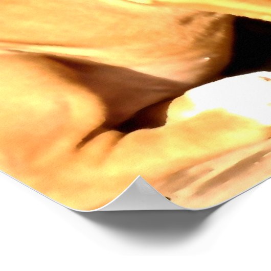 Fawn boxer puppy sit poster (Hoek)