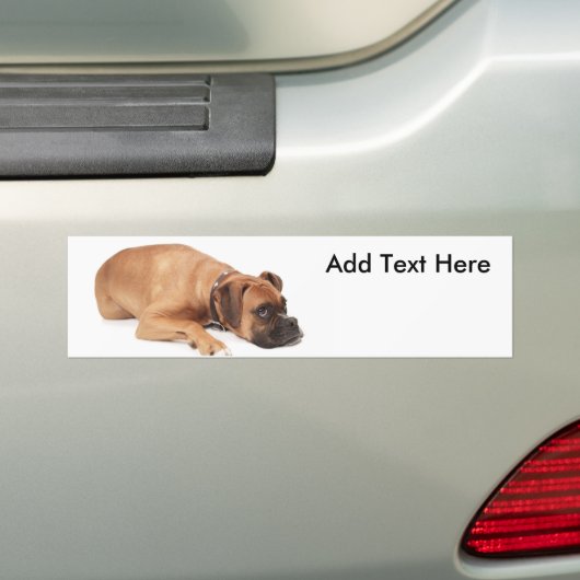 Fawn Boxer Resting Bumpersticker (Op auto)