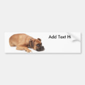 Fawn Boxer Resting Bumpersticker (Voorkant)