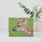 Fawn Briefkaart (Staand voorkant)
