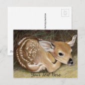 Fawn Briefkaart (Voorkant / Achterkant)