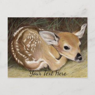 Fawn Briefkaart