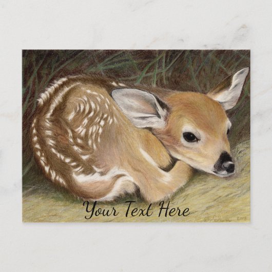Fawn Briefkaart (Voorkant)