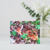FAWN BRIEFKAART (Staand voorkant)