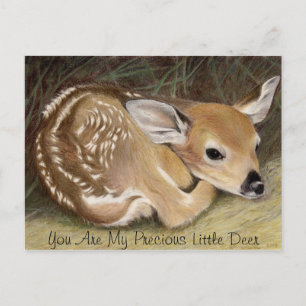 Fawn Briefkaart
