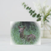 Fawn Briefkaart (Staand voorkant)