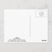 Fawn Briefkaart (Achterkant)