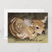 Fawn Briefkaart (Voorkant / Achterkant)