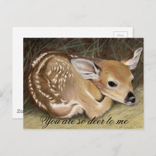 Fawn Briefkaart (Voorkant / Achterkant)