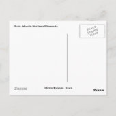 Fawn-Briefkaart Briefkaart (Achterkant)