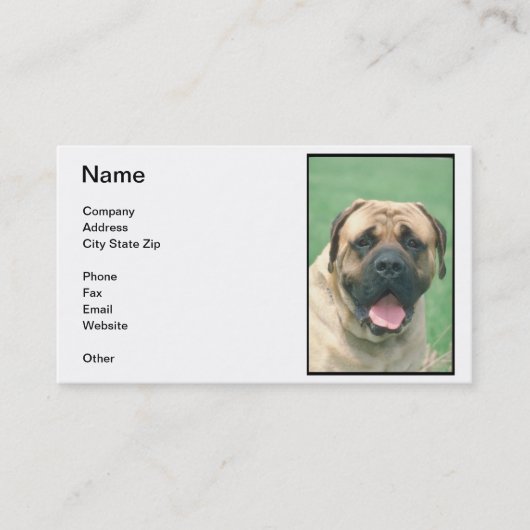 Fawn Bullmastiff Visitekaartje (Voorkant)
