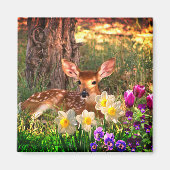 Fawn Deer met Spring Flowers Daffodils / Tulips Magneet (Voorkant)