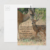 Fawn Deer Natuur Wildlife Christelijke Creationart Briefkaart (Voorkant / Achterkant)