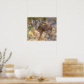 Fawn Deer Photo Poster (Keuken)