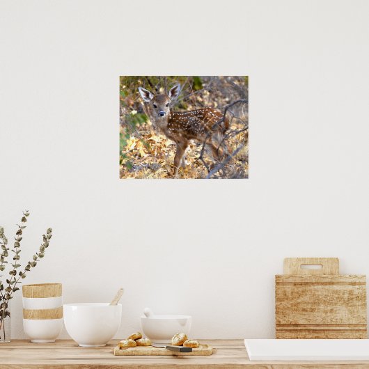 Fawn Deer Photo Poster (Keuken)
