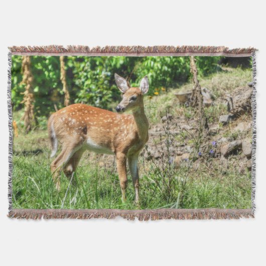 Fawn Deken (Voorkant)