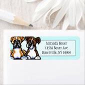 Fawn en Brindle Boxer Studio Aqua Etiket (Insitu)