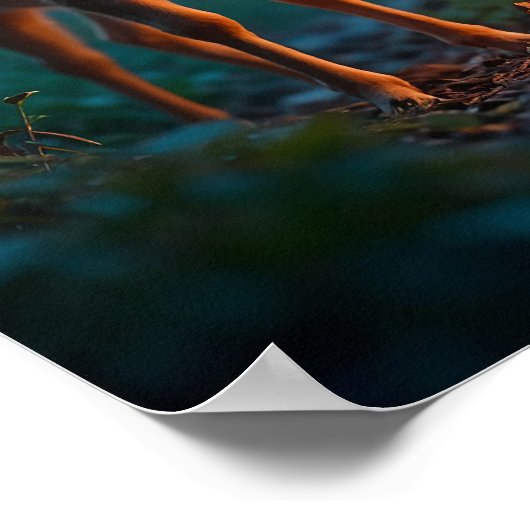 Fawn en vlinder in betoverd bos poster (Hoek)