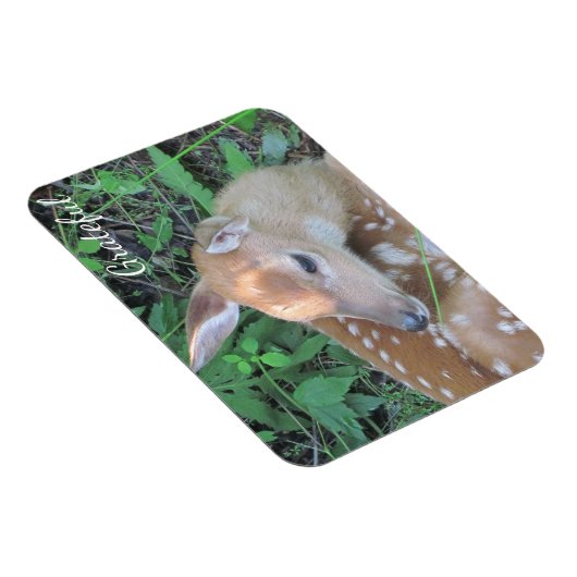 Fawn Gratitude Magneet (Rechterzijde)