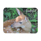Fawn Gratitude Magneet (Horizontaal)