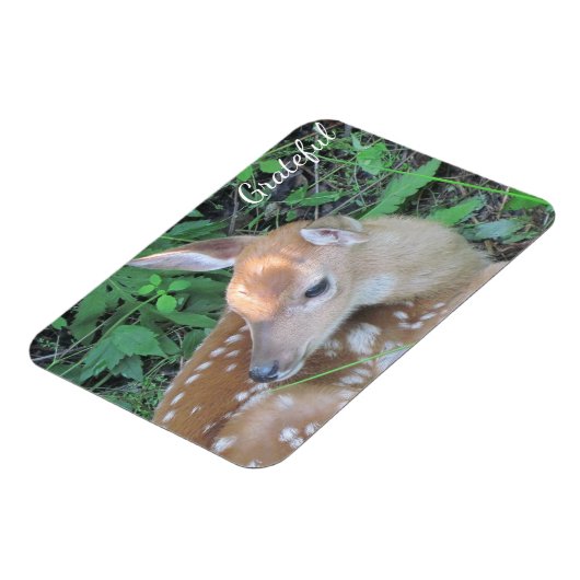 Fawn Gratitude Magneet (Linkerzijde)