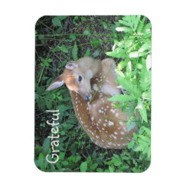 Fawn Gratitude Magneet