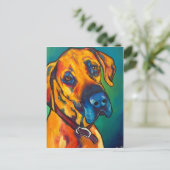 Fawn Great Dane Briefkaart (Staand voorkant)