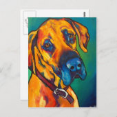 Fawn Great Dane Briefkaart (Voorkant / Achterkant)