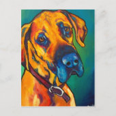 Fawn Great Dane Briefkaart (Voorkant)